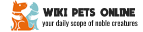 Wikie Pets Logo