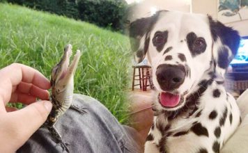 5 Heart-melting Pictures that Will Instantly Make You Happy