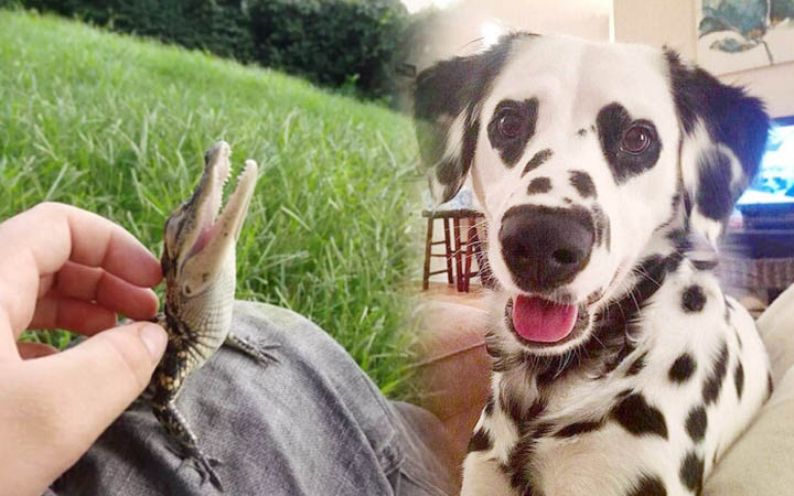 5 Heart-melting Pictures that Will Instantly Make You Happy